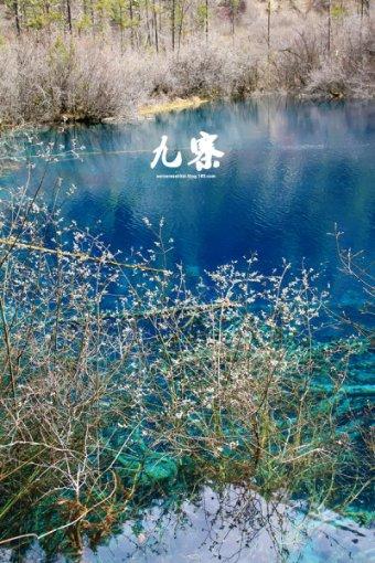 憨豆先生找小熊