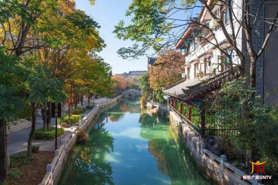 探索吉鹿力问答社区,发现更多关于我们常说的“太岁”,到底是什么生物?的答案!